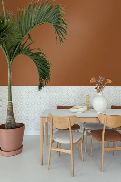Wandfarbe matt 191031 Orange - Papier - 1800 x 100 x 1800 cm