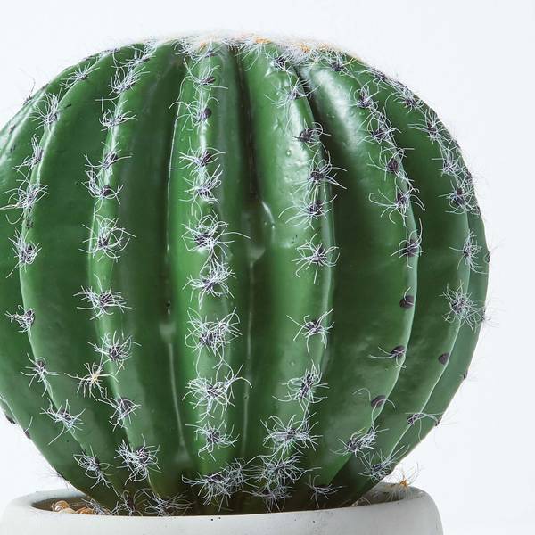 Kunstcactus Bolcactus groen - polyester - 13 x 19 x 19 cm