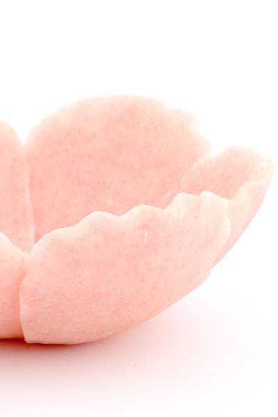 Dekorationsschale FRESIA Pink - Kunststoff - 24 x 10 x 26 cm