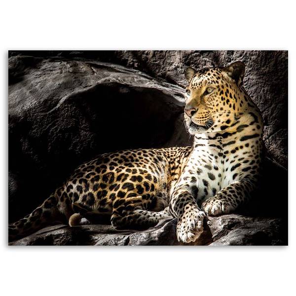 Wandbild leopard auf felsen 90 x 60 cm