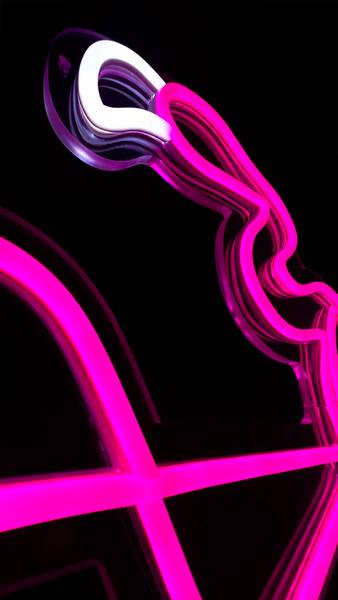 LED Neon Schild Flamingo Kunststoff - 40 x 33 x 2 cm