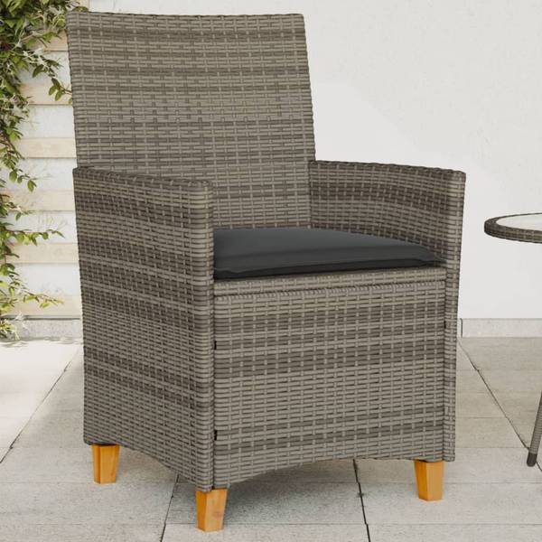 Chaise de jardin 3033878-1 (lot de 2) Gris
