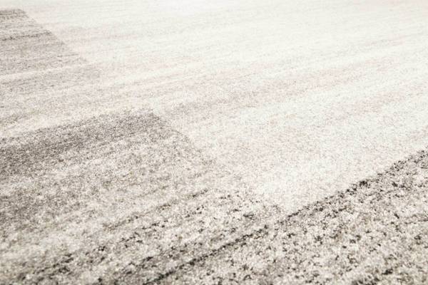 Kurzflorteppich Déjà-vu 133 x 200 cm