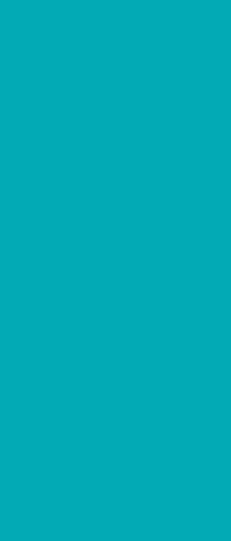 Verdunkelungsrollo AQUAMARIN 60 x 140 cm