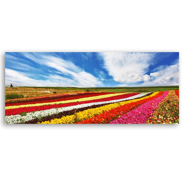 Wandbild tulpenfeld 90 x 30 cm