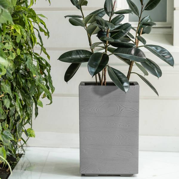 Blumentopf Betonique kaufen