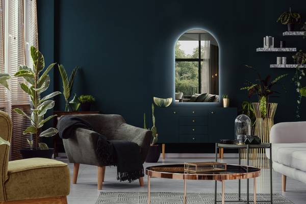 Spiegel Harp 40 x 70 cm