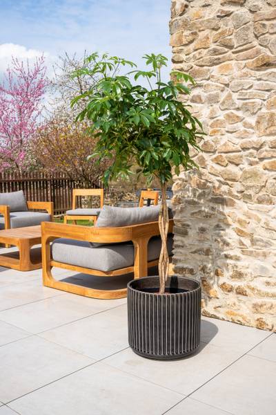 Blumentopf London Grau - 35 x 33 x 35 cm