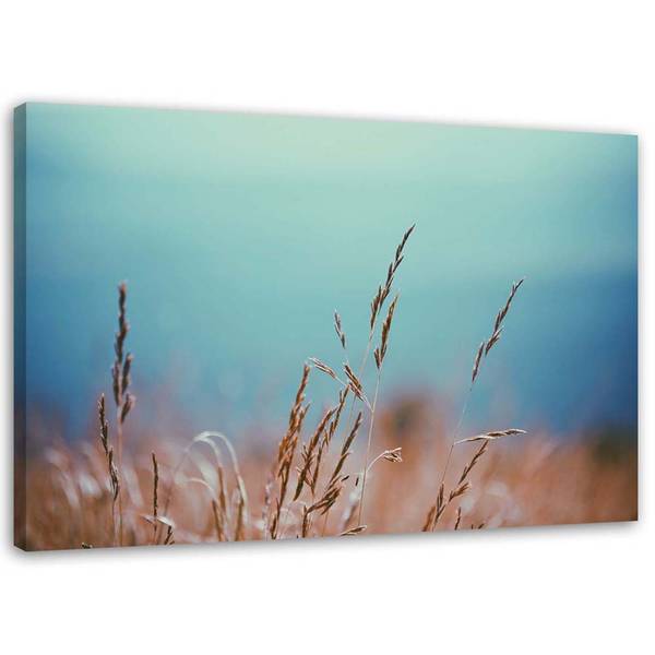 Wandbild grashalme 120 x 80 cm
