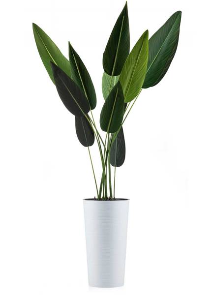 Blumentopf Urbanika Riflo Weiß - Kunststoff - 26 x 47 x 26 cm