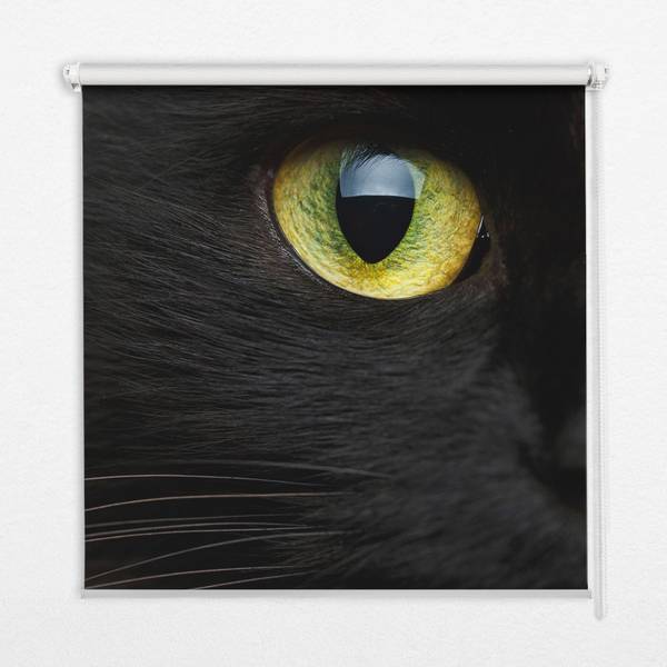 Rollo OCULUS 60 x 140 cm
