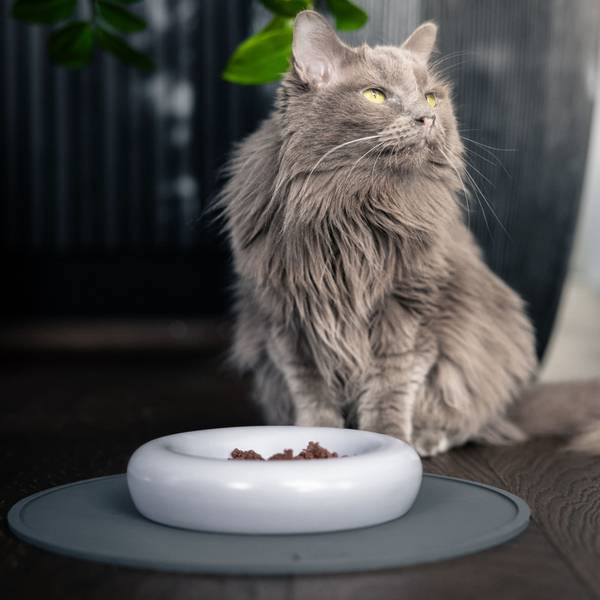 Katzen Napfunterlage CIRCLE kaufen | home24