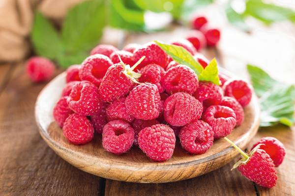 Duftkerze Wild Raspberry Pink - Klarglas - 10 x 12 x 10 cm