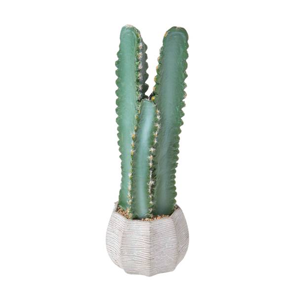 Knstlicher Kaktus kaufen | home24
