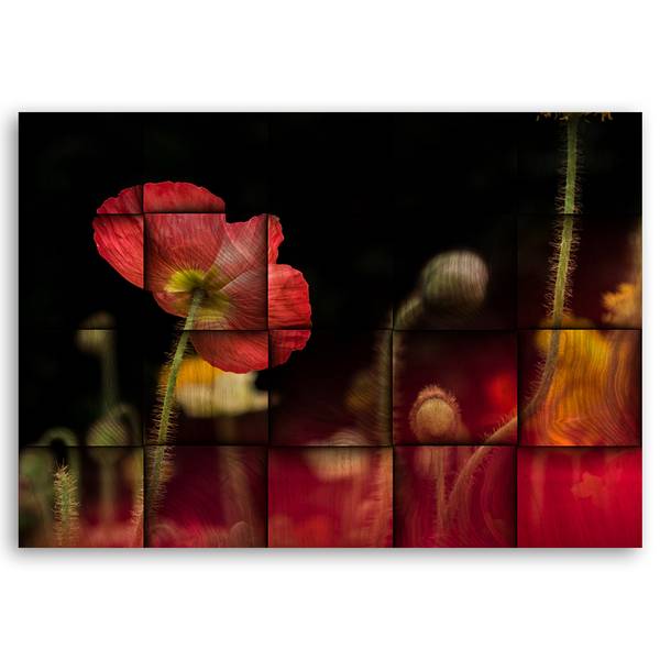 Tableau déco Fleur 60 x 40 cm