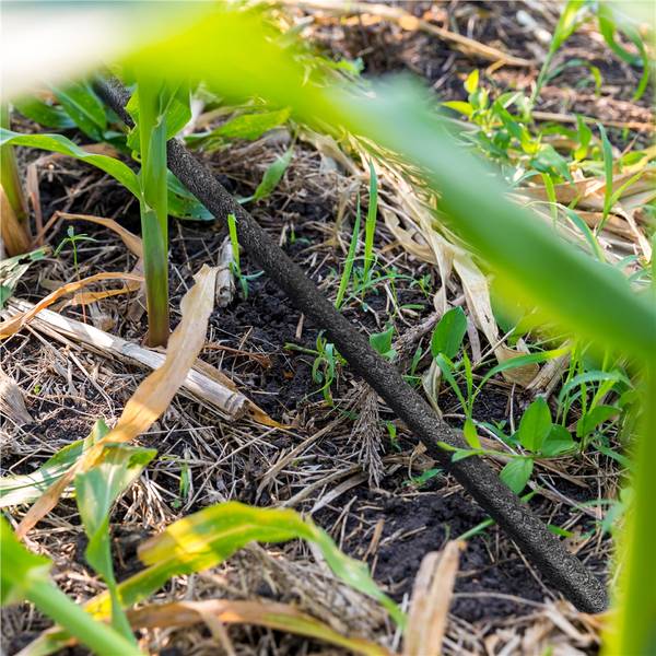 Gartenschlauch ARJ10 Schwarz - Kunststoff - 40 x 13 x 40 cm