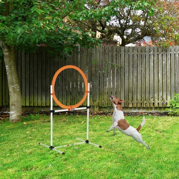 Agility-Ring CP160 Gelb - Kunststoff - 91 x 91 x 745 cm