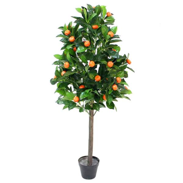 Mandarinenbaum HH-HD8111 Grün - Kunststoff - 65 x 125 x 65 cm