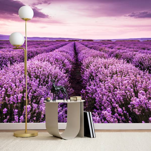 Fototapete Lavendel Wiese Klappe Natur 100 x 70 x 70 cm