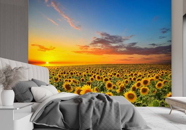 Fototapete Sonnenblumen Feld Natur 300 x 210 cm