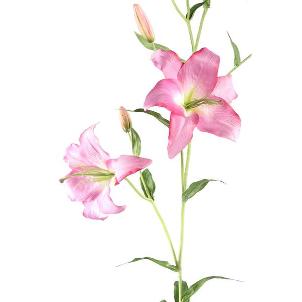 Künstliche Blume Lily Weiß - Kunststoff - 48 x 132 x 61 cm