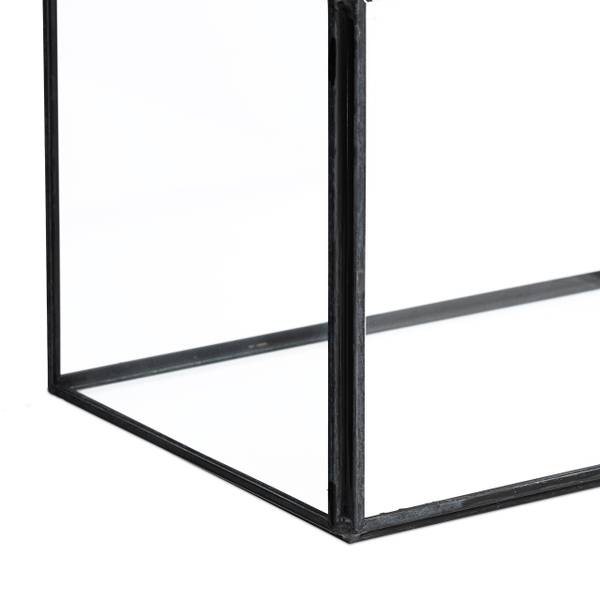 Planten terrarium van glas voor binnen zwart - transparant glas - 16 x 16 x 12 cm