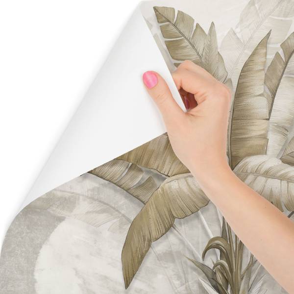Papier peint Feuilles tropicales 520 x 318 x 318 cm