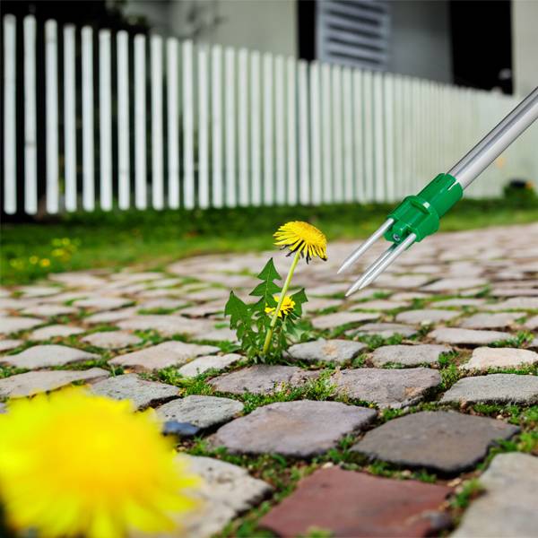 Unkrautstecher mit Gartenabfallsack Grün - Silber - Aluminium - 22 x 99 x 4 cm