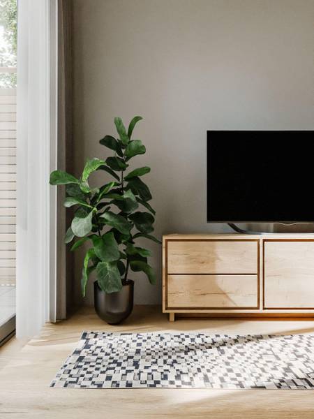 Tapis d'extérieur Kaleo 14 80 x 300 cm