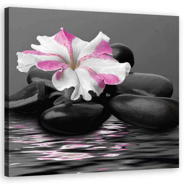 Wandbild steine blume 50 x 50 cm