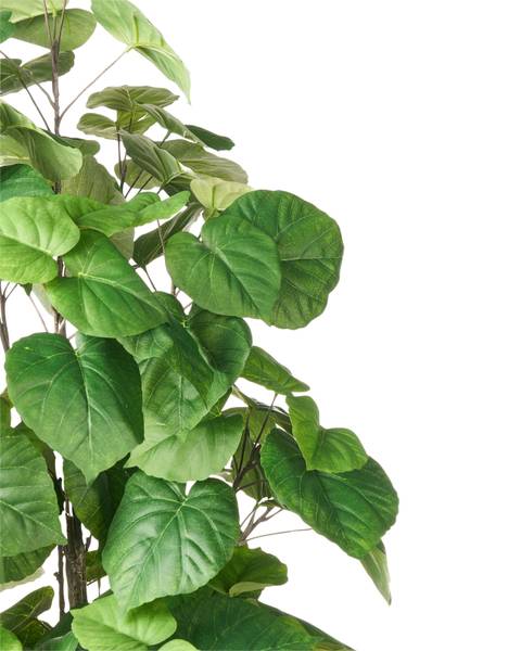 Plante artificielle FICUS TREE Noir - Vert - Matière plastique - 70 x 160 x 70 cm