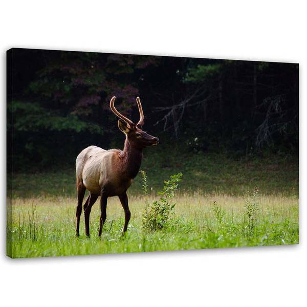 Wandbild reh auf der wiese 90 x 60 cm
