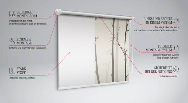 Verdunkelungsrollo DENDRA 60 x 140 cm