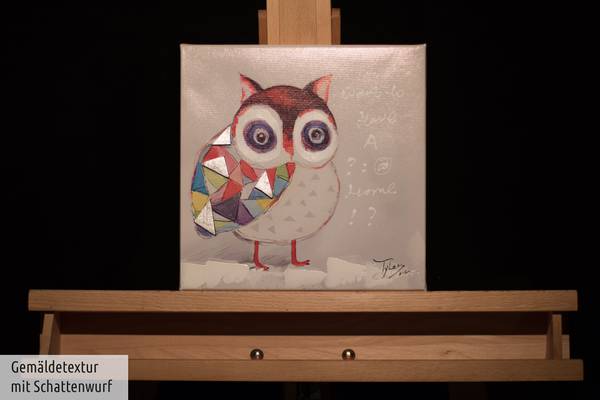 Impression sur toile Hibou Momo Coton - 25 x 25 x 4 cm