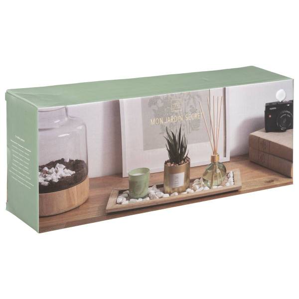 Duftset BASIC 4-teilig Grün - Holzwerkstoff - 36 x 26 x 14 cm