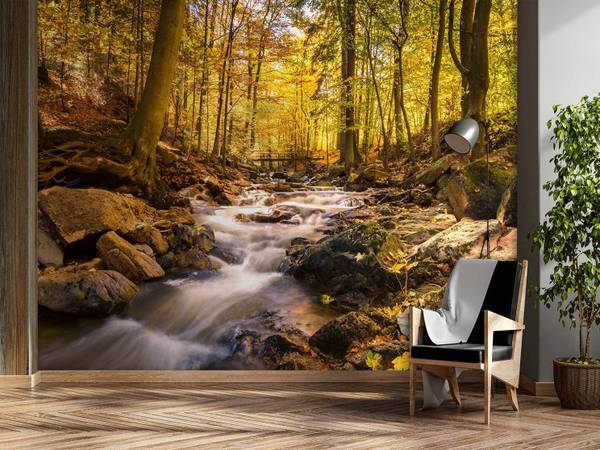 Fototapete Waldbach im Herbst 200 x 140 cm