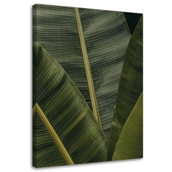 Wandbild tropische bananenblätter 70 x 100 cm