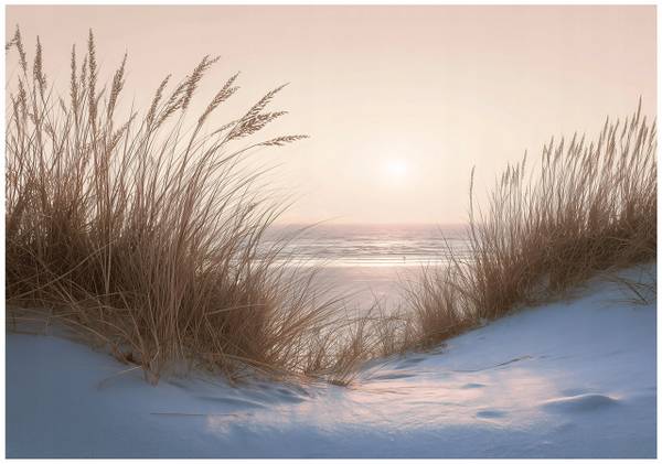 Fototapete Strand 250 x 175 cm