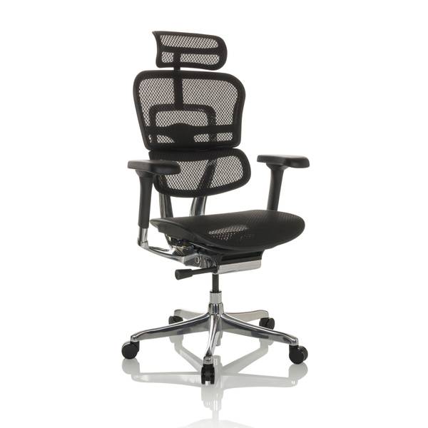 Chefsessel ERGOHUMAN GEN2 Schwarz