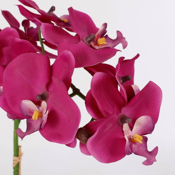 Plante artificielle Phalaenopsis Mauve - Textile - 16 x 60 x 16 cm