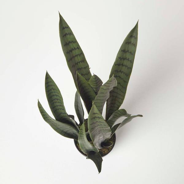 Kunstpflanze Bogenhanf Dunkelgrün