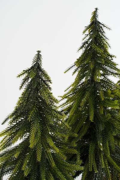 Dekorativer Weihnachtsbaum MEHOAR2790004 Grün - Kunststoff - 22 x 40 x 80 cm