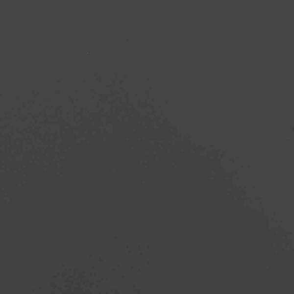 Pflanzkübel 3044620-1 Schwarz - 120 x 80 x 40 cm