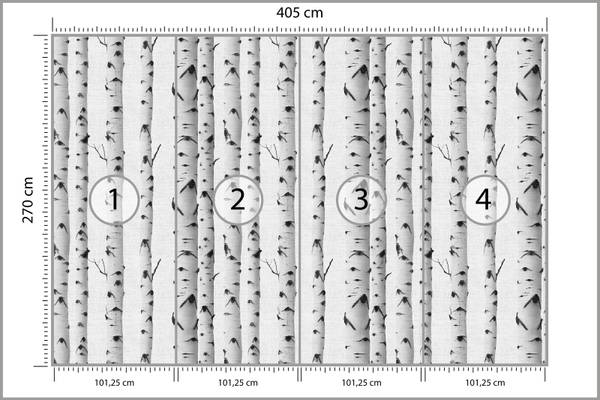 Fototapete BÄUME Birken Pflanzen Natur Schwarz - 405 x 270 x 270 cm