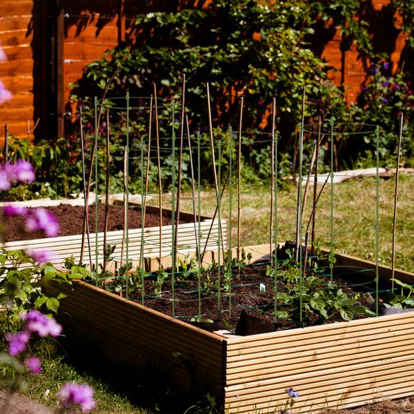 Plantensteun set van 5 90 cm groen - staal - 28 x 90 x 28 cm
