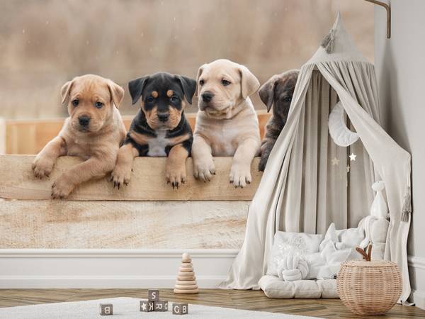 Papier Peint Chiens Famille Chiots 150 x 105 x 105 cm