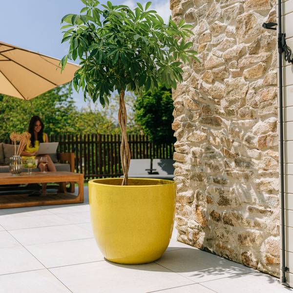 Blumentopf Lancelot Gelb - Keramik - 21 x 19 x 21 cm