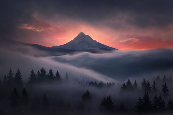 Tableau Brume en Oregon 90 x 60 x 90 cm - Fibres naturelles