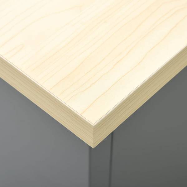 Werkbank 145347 Schwarz - Stahl - 60 x 85 x 160 cm