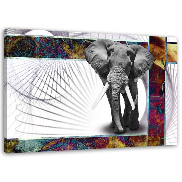 Wandbild Tier 60 x 40 cm